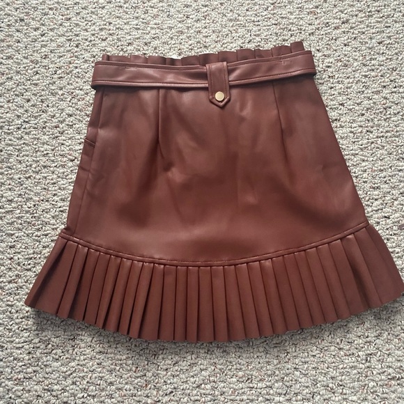 Zara Faux Leather Pleated Skirt - Picture 5 of 6